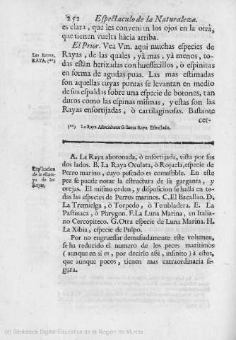 252