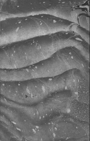 [Guarda]