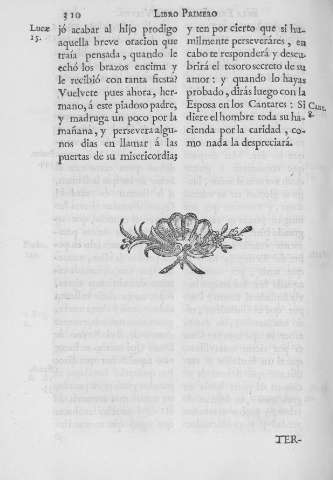 310
